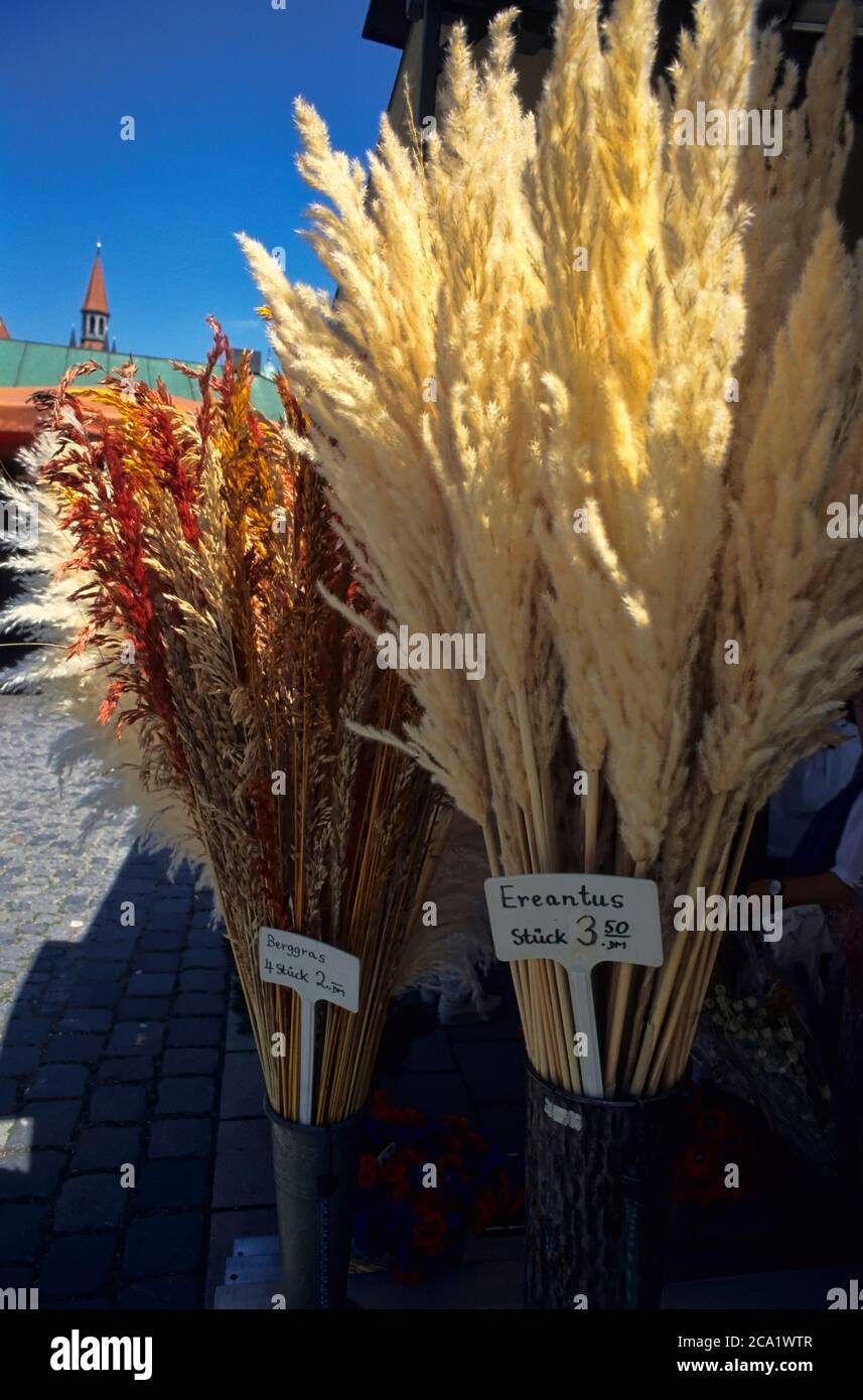 Blumen, Viktualischer Markt, München, Deutschland Stockfoto