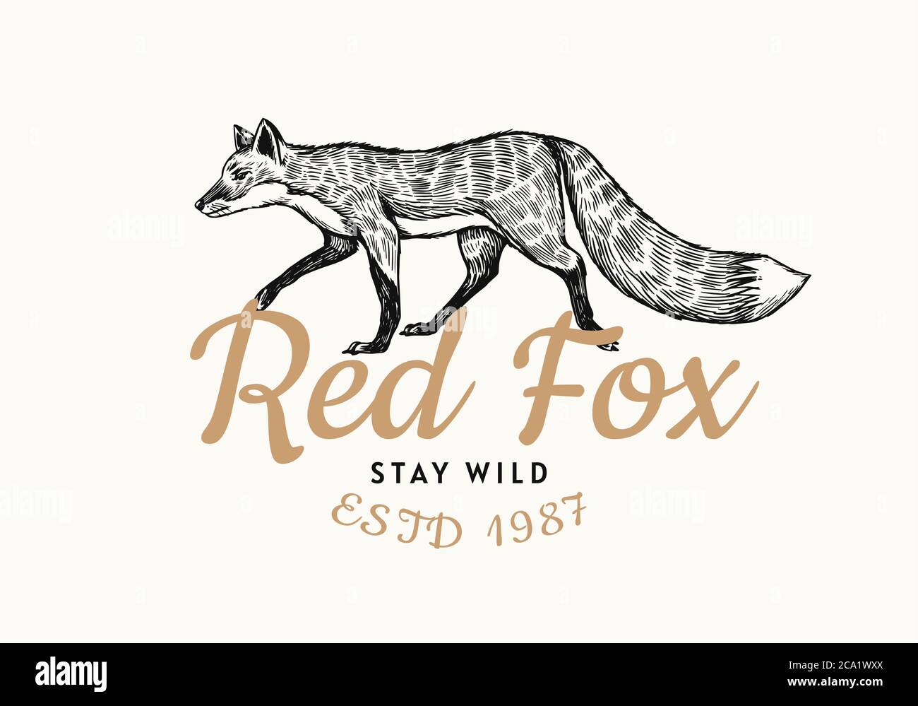 Rotes Fuchsabzeichen. Waldginger Wildtier Etikett oder Logo. Vektor graviert Hand gezeichnet Vintage alte Skizze für Stempel, T-Shirt oder Typografie. Stock Vektor