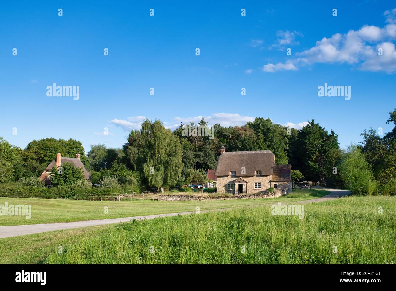Reethaus im Dorf Little Haseley, Oxfordshire, England Stockfoto
