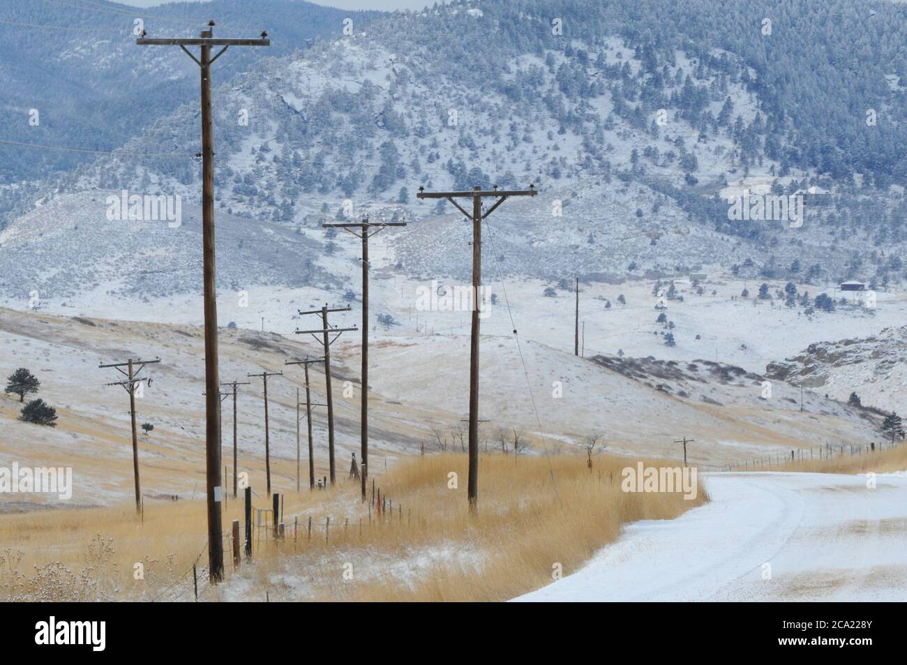 Ländliche Colorado Mountain Telefonmasten an der Seite der Straße während Schneesturm Stockfoto
