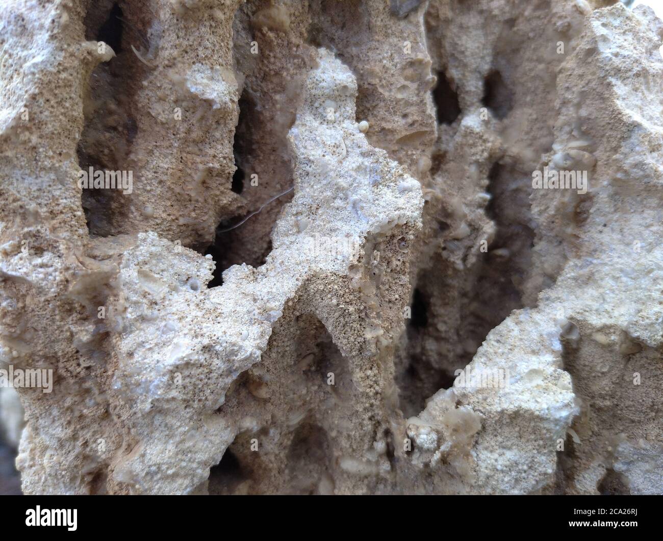 Poröse weiße Struktur aus Krimstein. Makrofotografie mit losem Stein Stockfoto
