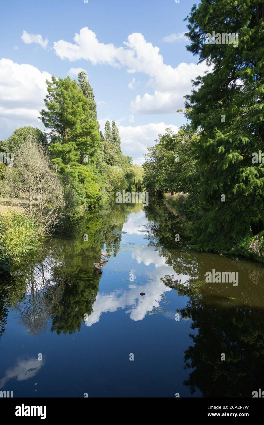 Der Ziersee auf dem Gelände des Chiswick House eine früh18. Jahrhundert Palladio Villa in Chiswick, London, England, UK Stockfoto
