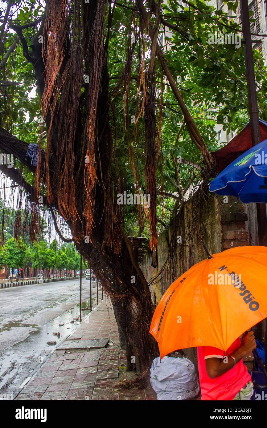 Ein regnerischer Tag . Ein einheimisches Volk, das Lebensmittel von einem Straßenladen unter einem Baum kauft. Ich habe dieses Bild aus Dhaka, Bangaldesh, aufgenommen. Stockfoto