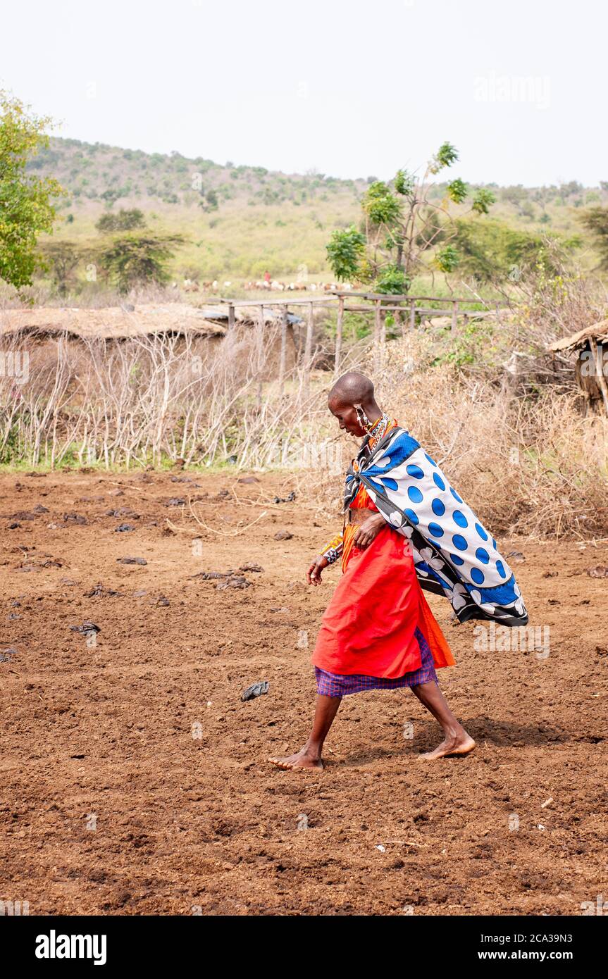 Maasai Frau, in traditioneller Kleidung, beim Spaziergang in einem maasai Dorf. Maasai Mara National Reserve. Kenia. Afrika. Stockfoto