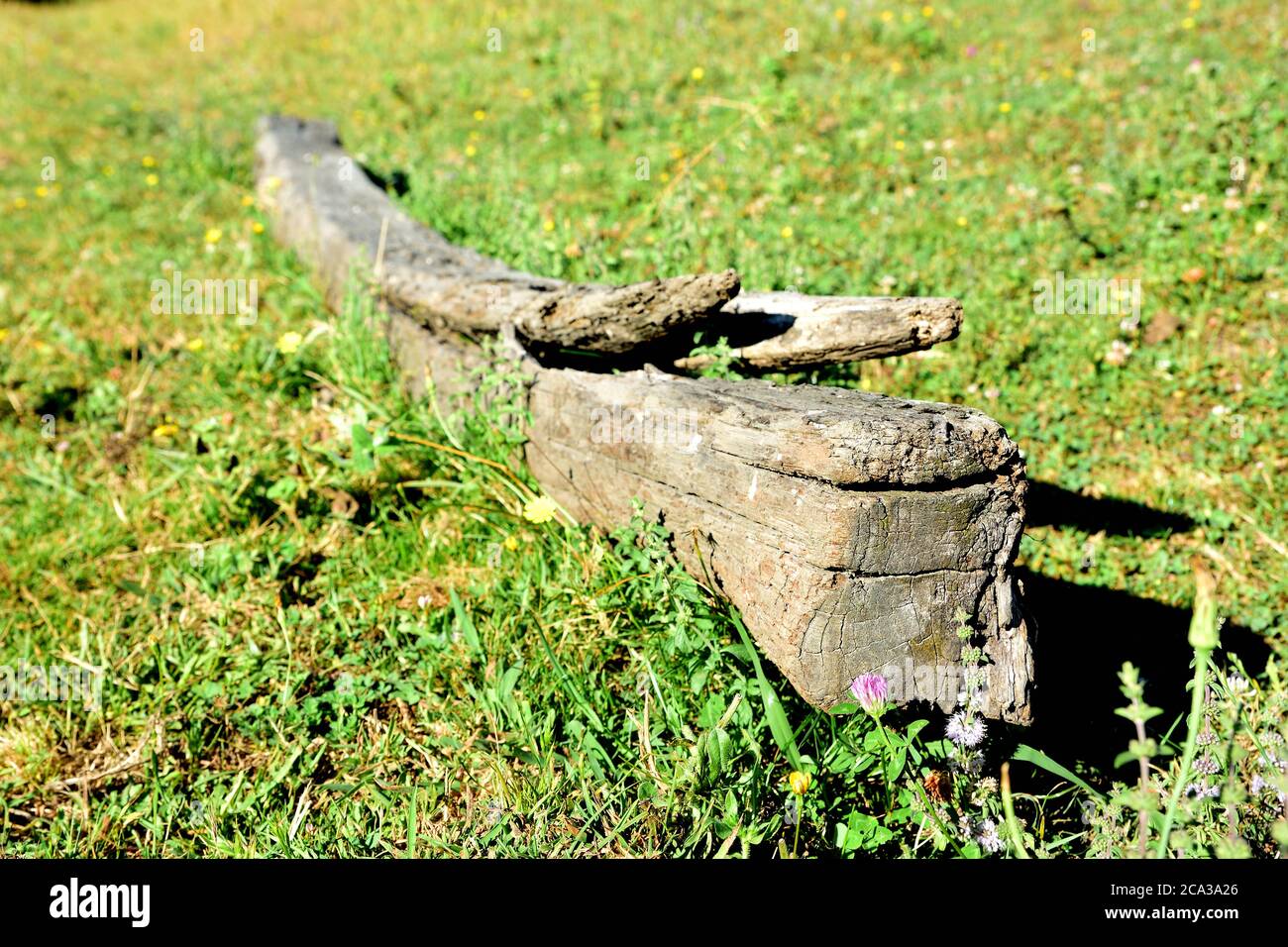 Alte Holzbalken im Gras verlassen Stockfoto