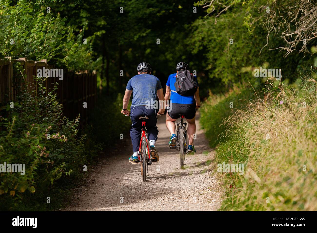 Zwei Männer Radfahren im Wald Stockfoto
