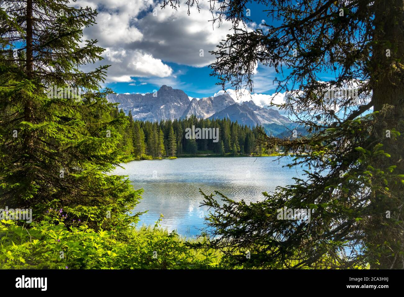 Landschaft am Misurina See in den italienischen Alpen. Sommerlandschaft in den italienischen Dolomiten. Südtirol Italien. Europa Stockfoto