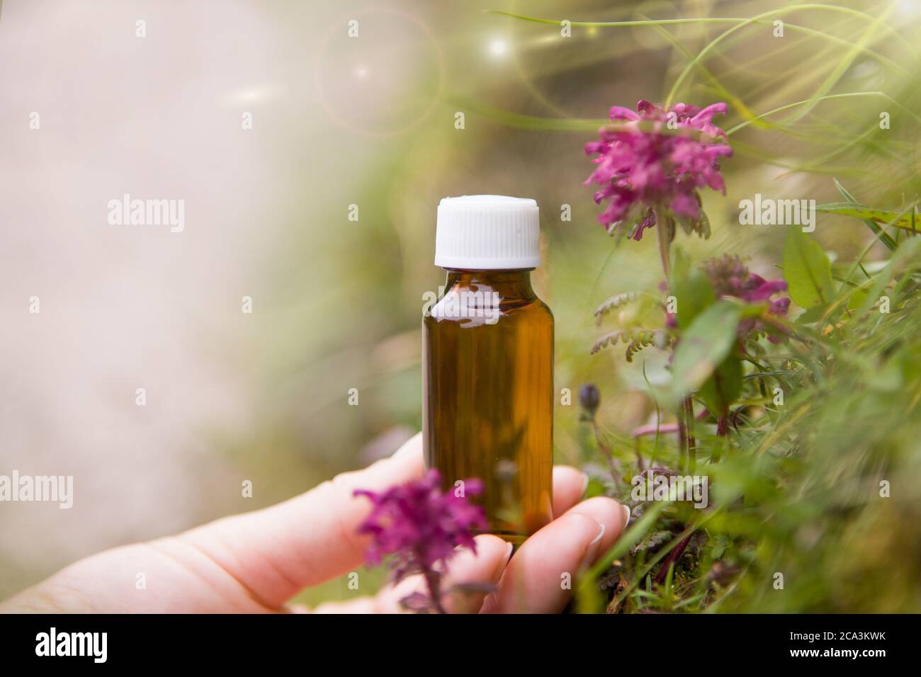 Die heilenden Eigenschaften von Blumen - natürliche Medikamente Stockfoto