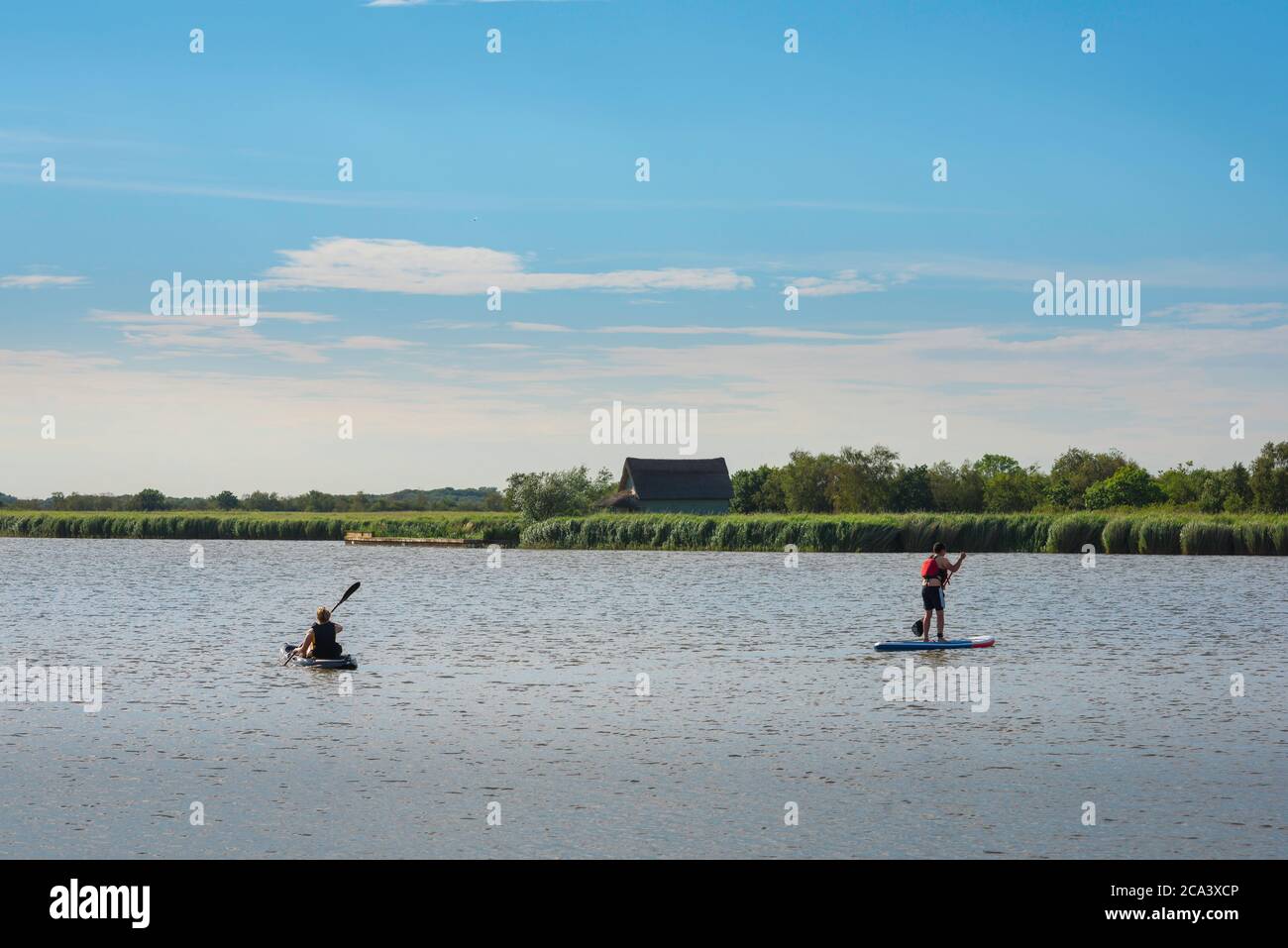 Horsey Mere, Blick im Sommer von Menschen paddeln Boarding auf Horsey Mere in Norfolk, East Anglia, England, Großbritannien Stockfoto