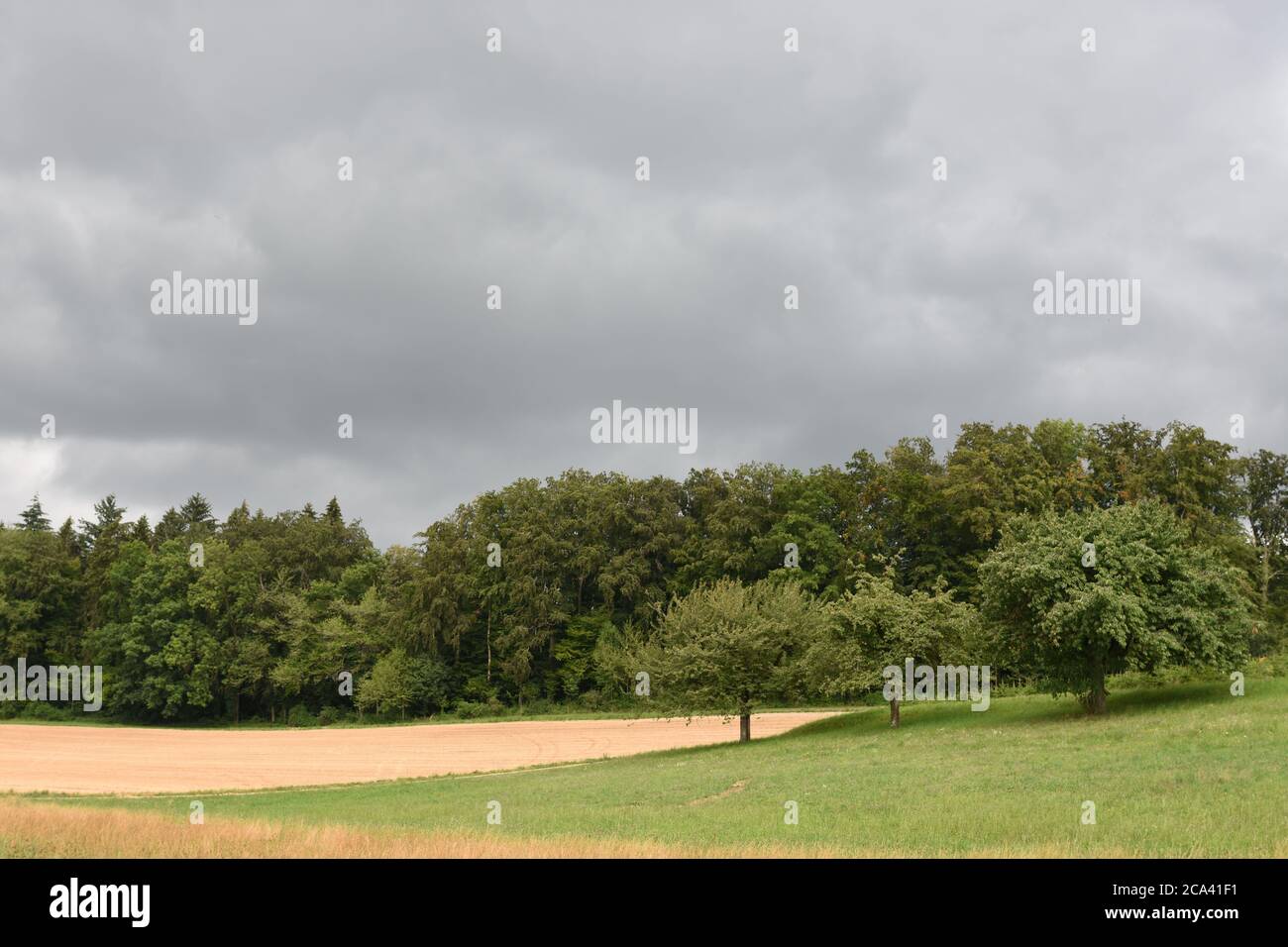 Schwere, dicke, donnernde, stürmische Wolken über dem Mischwald mit geerntetem Feld und Wiesen im Vordergrund in der Schweizer Landschaft. Stockfoto
