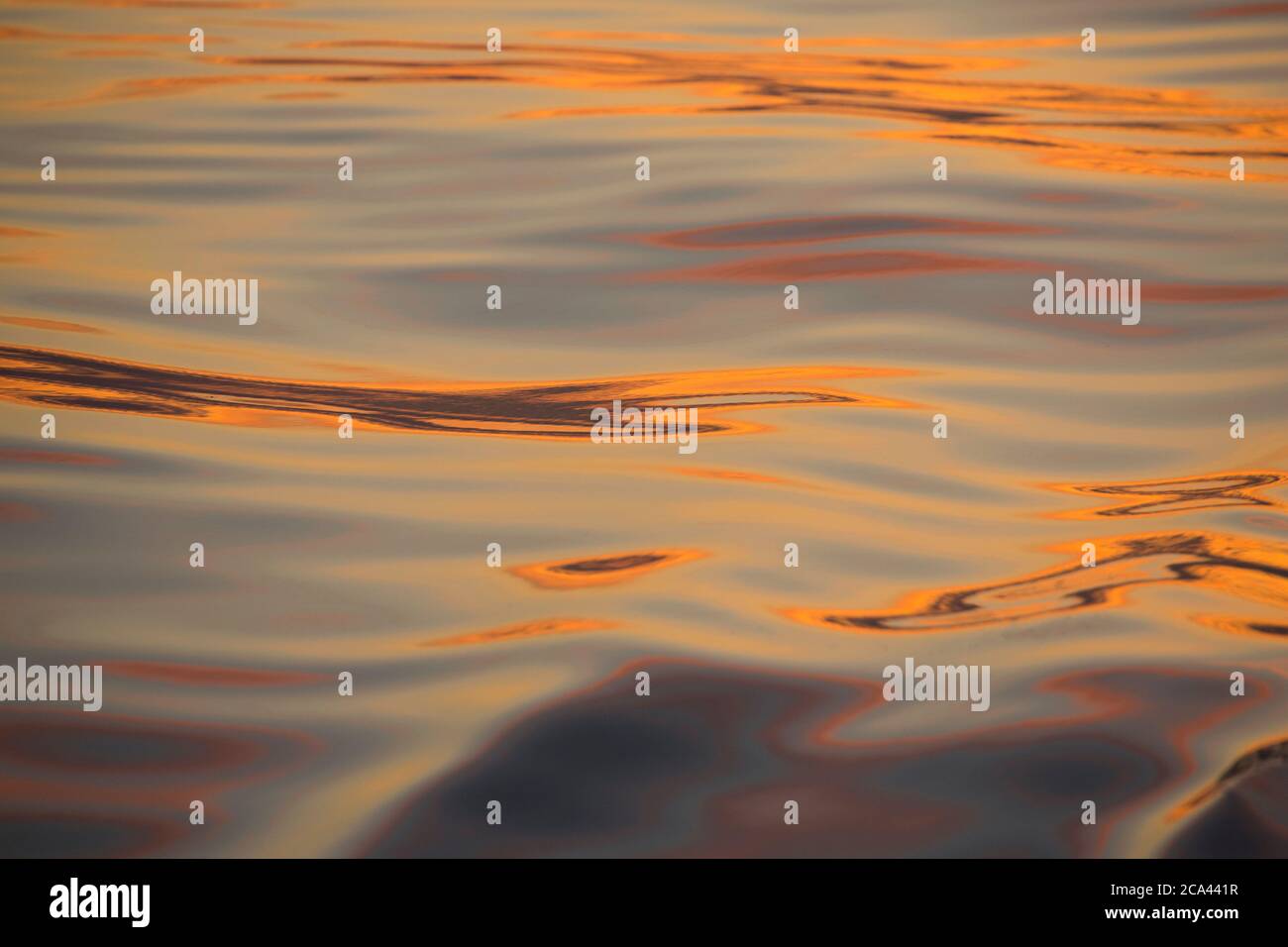 Die Farben des Sonnenaufgangs spiegeln sich im Juli auf dem Meer im Ärmelkanal. Devon England GB Stockfoto