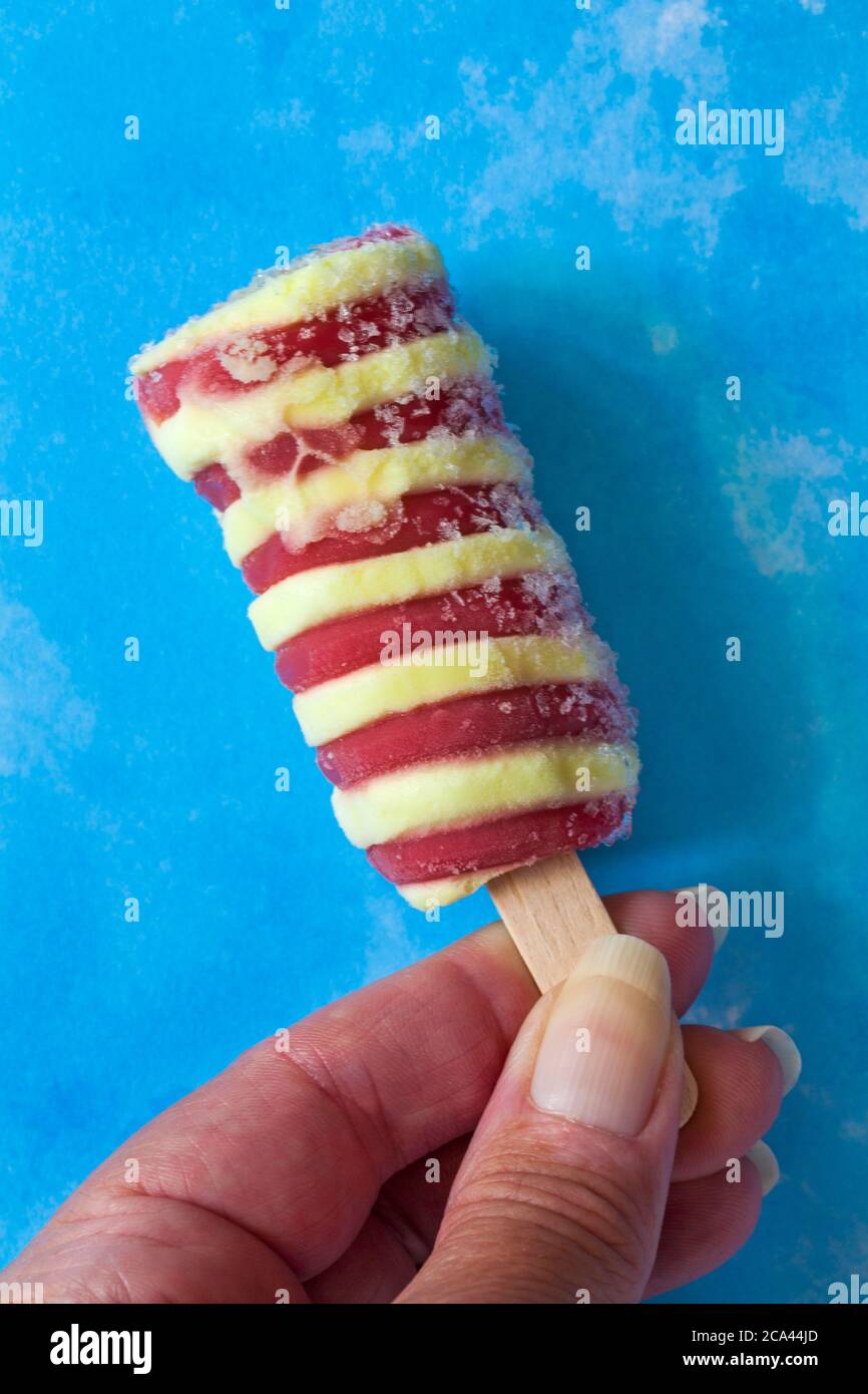 Hand halten Twister Mini mit Fruchtsaft Eis vor blauem Hintergrund gesetzt  - Eis Eis Eis Eis Eis Lolly Eis Lollys Eis Eis Eis Eis Eislippesikel  Stockfotografie - Alamy