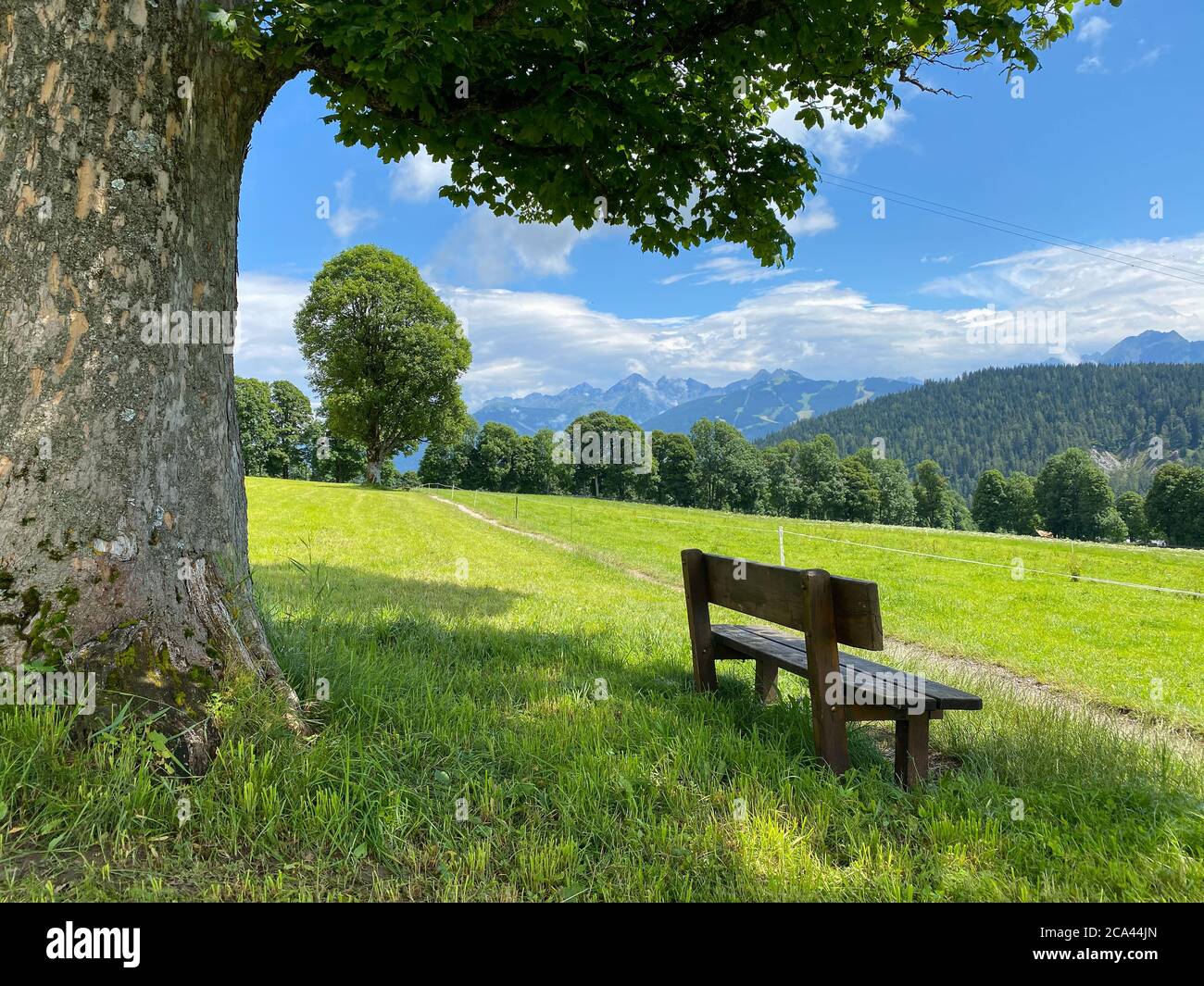 Landschaft mit Bank in Ramsau am Dachstein, Österreich. Dieses wunderschöne Almengebiet am Fuße der imposanten Südwand des Dachsteins bietet Stockfoto