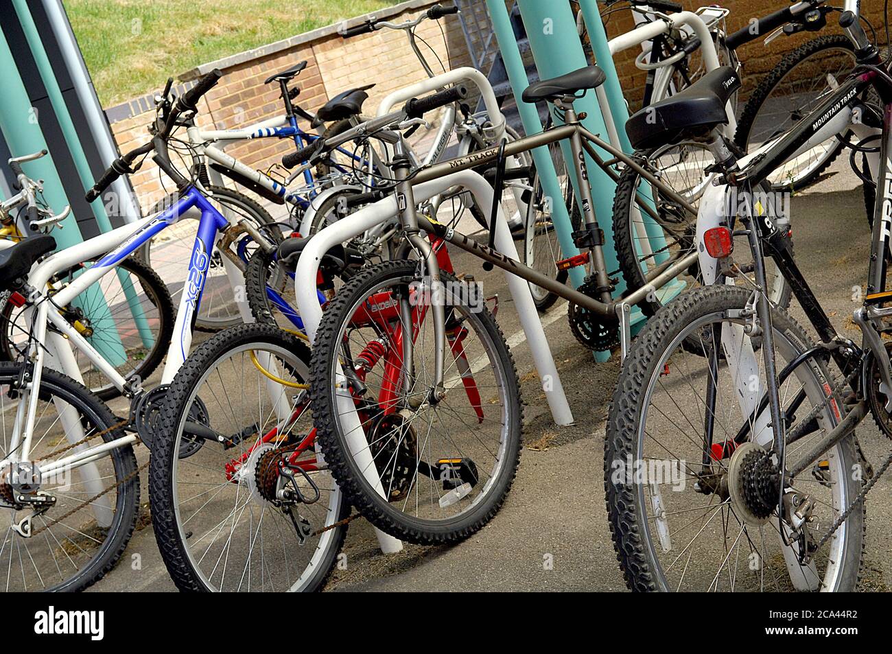 Mehrere versperrte Fahrräder auf einem Fahrradständer Stockfoto
