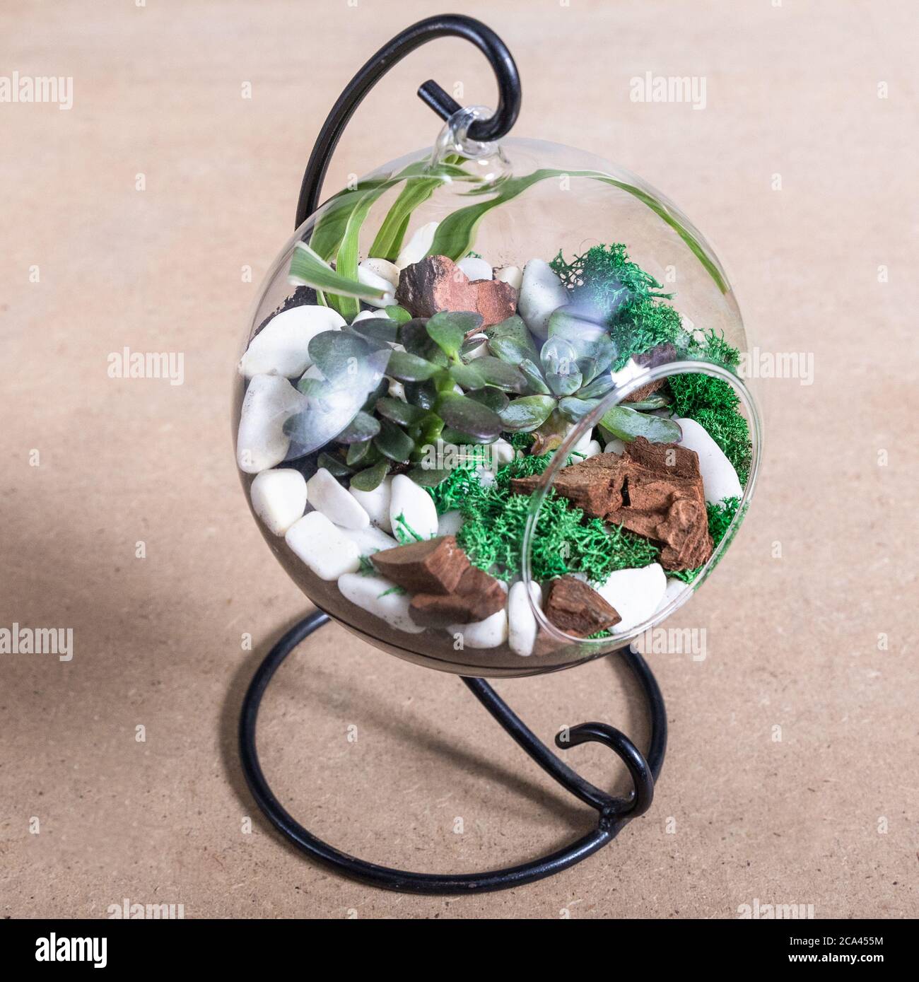 Terrarium, Sand, Stein, Sukkulente, bemalter Kaktus, Moos im Glas,  Handschuhe, Terrarium, Sand, Stein, Sukkulente, bemalter Kaktus, Moos im  Glas, Glov Stockfotografie - Alamy