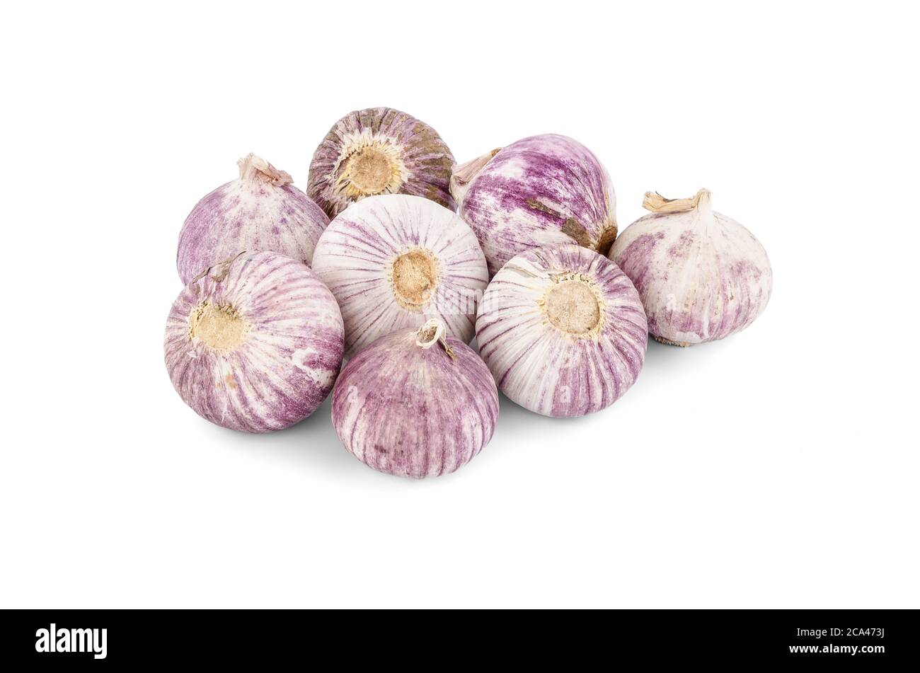 Garlics isoliert auf weißem Hintergrund. Stockfoto