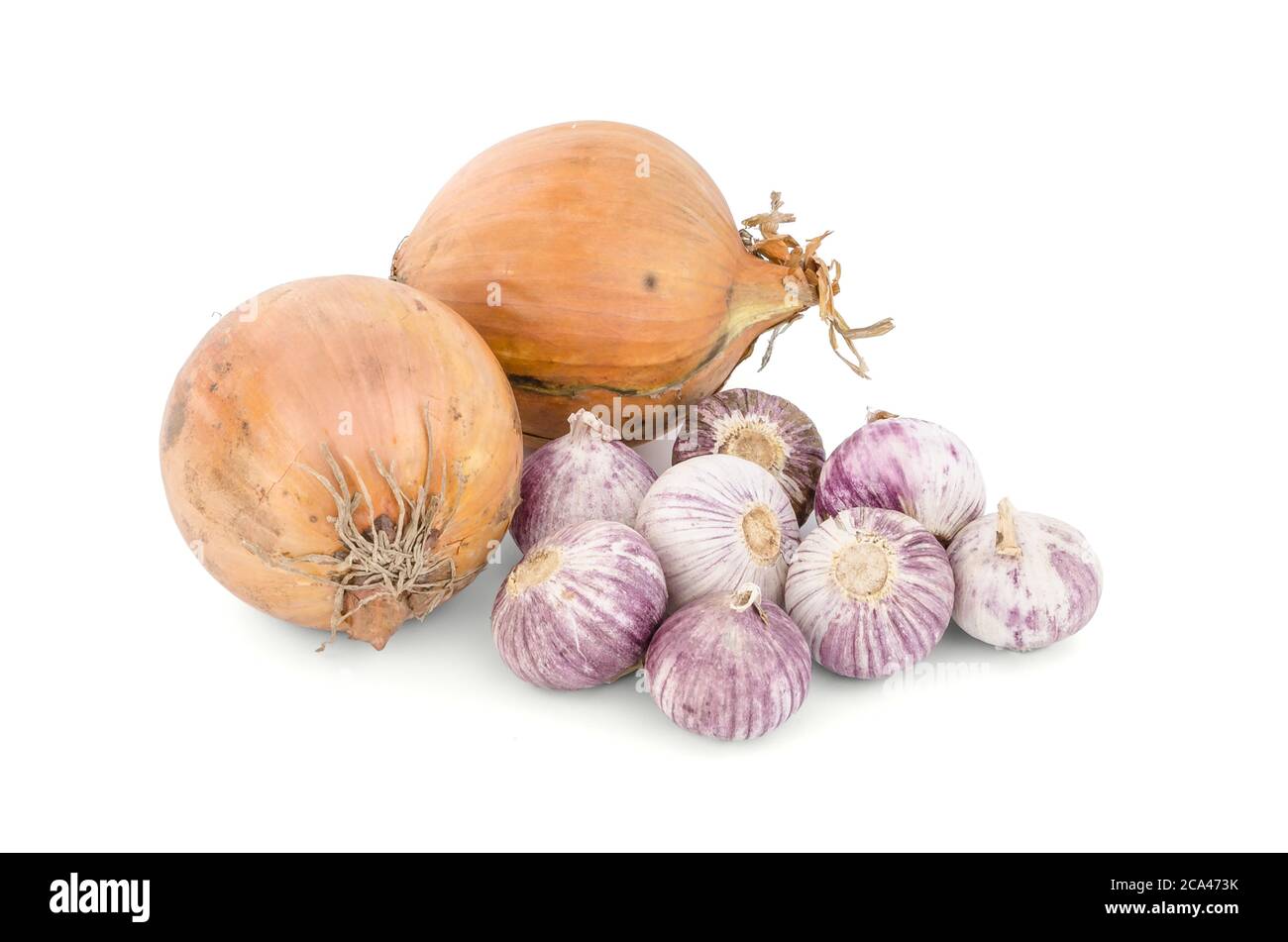 Garlics und Zwiebeln isoliert auf weißem Hintergrund. Stockfoto