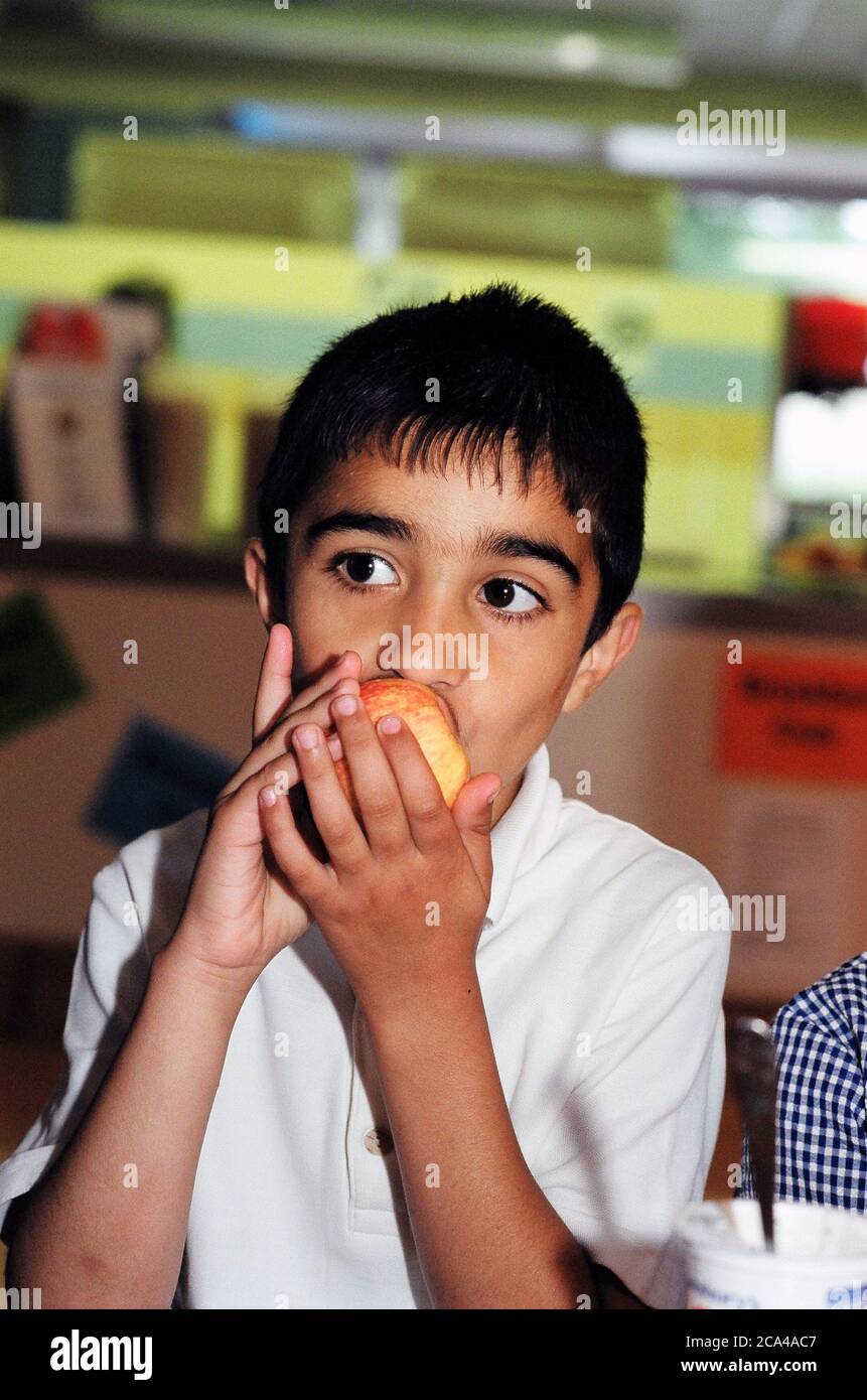 Schuljunge essen einen Apfel - Obst wird kostenlos an Schüler in Yorkshire gegeben; Großbritannien Stockfoto