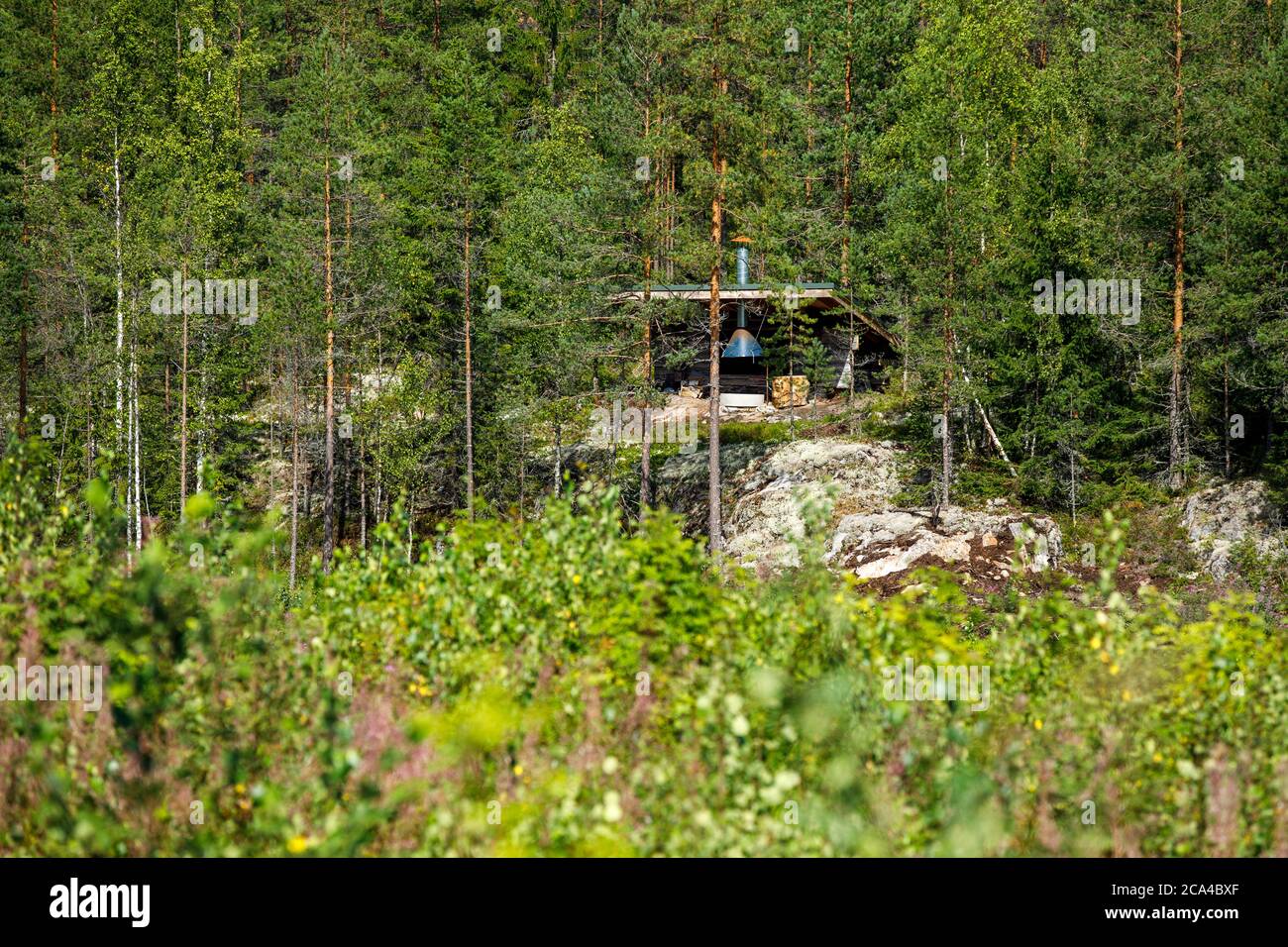 Blick auf eine entfernte hölzerne mager-to-Schutz, mit Kamin, im Wald im Sommer, Finnland Stockfoto