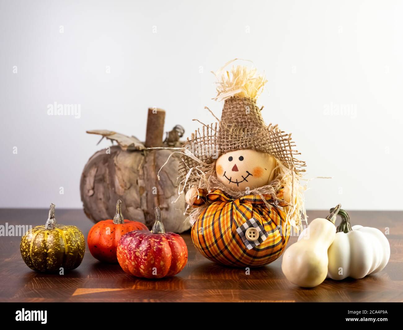 Kleine Vogelscheuche mit orangefarbenem karierten Outfit auf einer Holztheke sitzend, daneben kleine Kürbisse und Kürbisse und dahinter ein Holzkürbis. Fallen Stockfoto