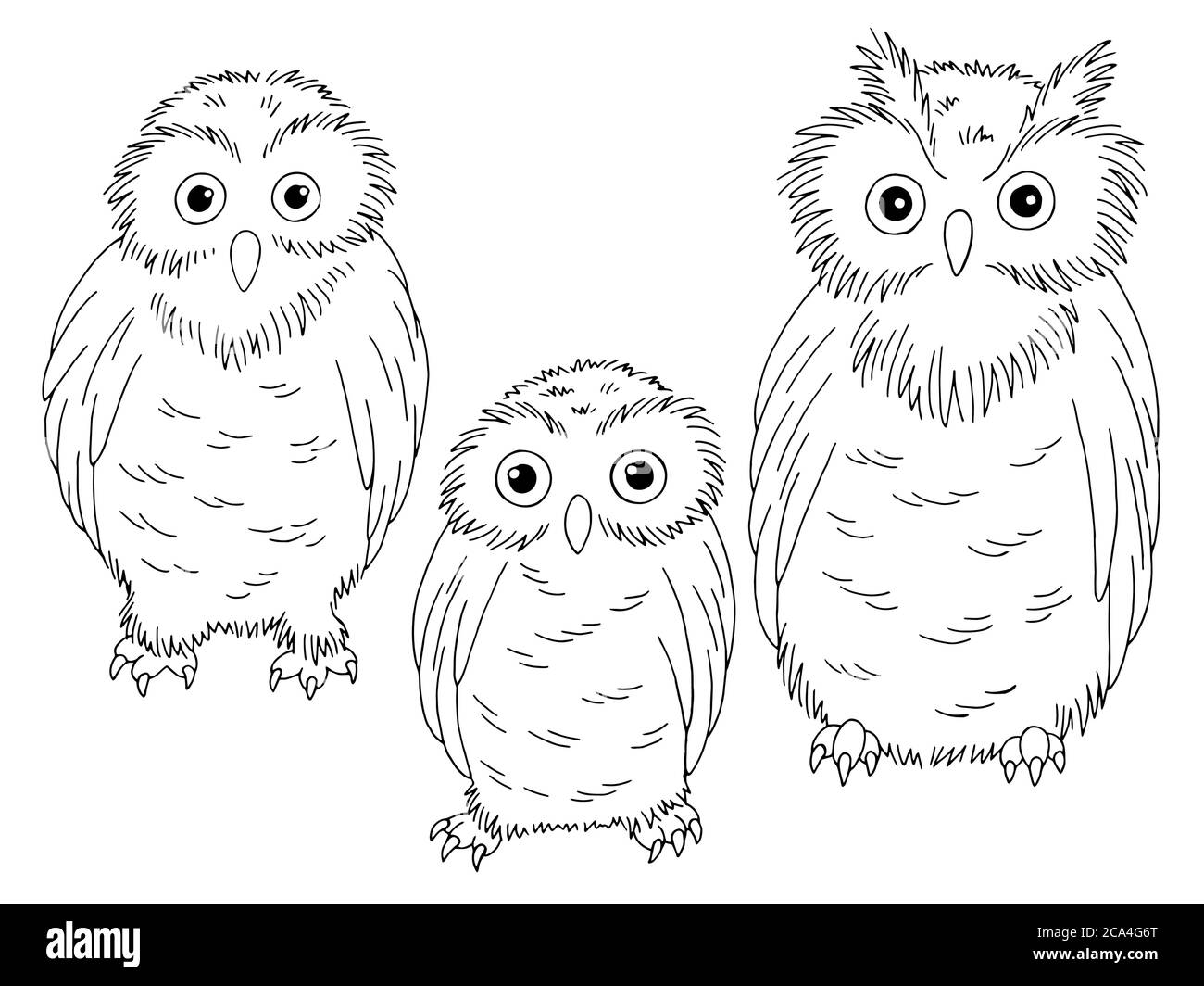 Eule Set Grafik schwarz weiß isoliert Skizze Illustration Vektor Stock Vektor