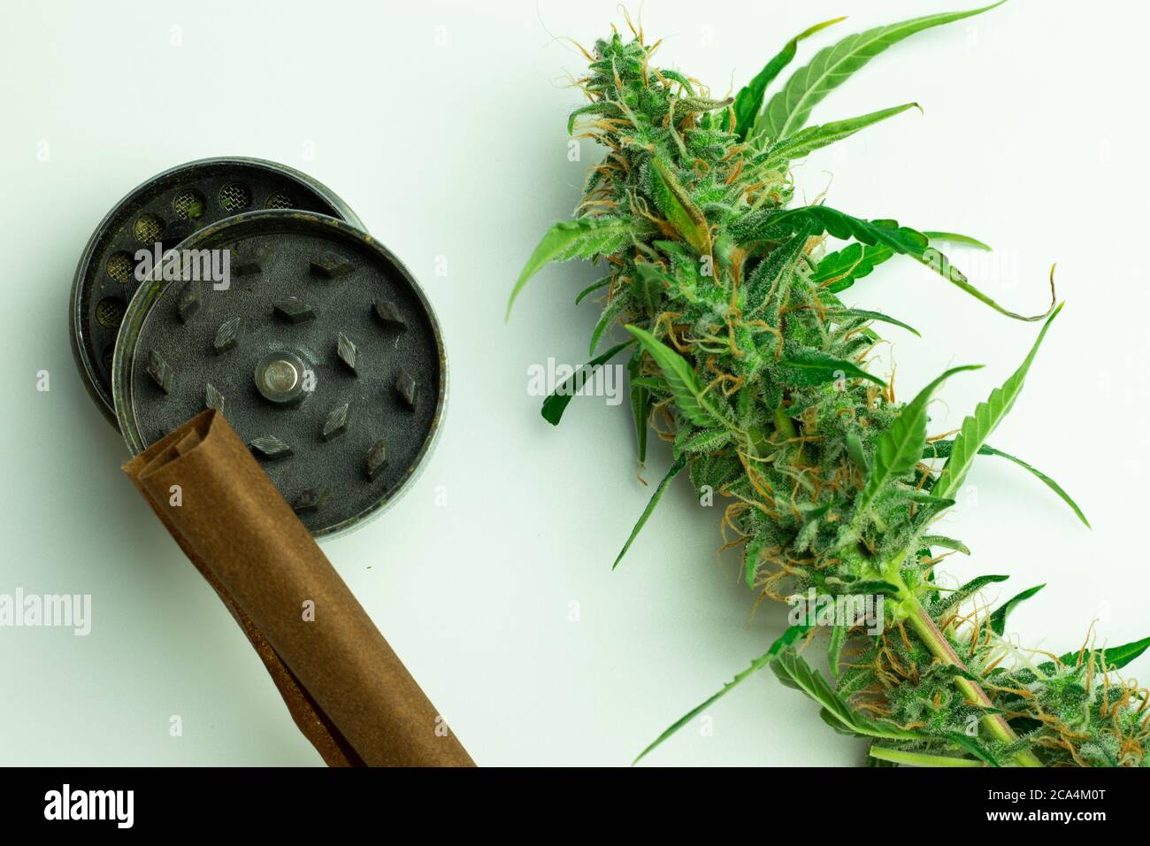 Cannabis Knospe mit Grinder und stumpfen oder Gelenk flach Lay Draufsicht. Marihuana Rauchzubehör, weißer Hintergrund Stockfoto