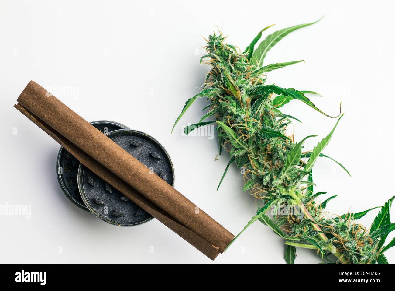 Legale Cannabisbranche. Kommerzielles Marihuana für medizinische Zwecke. Raucherzubehör. Unkraut stumpf mit Pflanze. Weißer Hintergrund, Draufsicht Stockfoto
