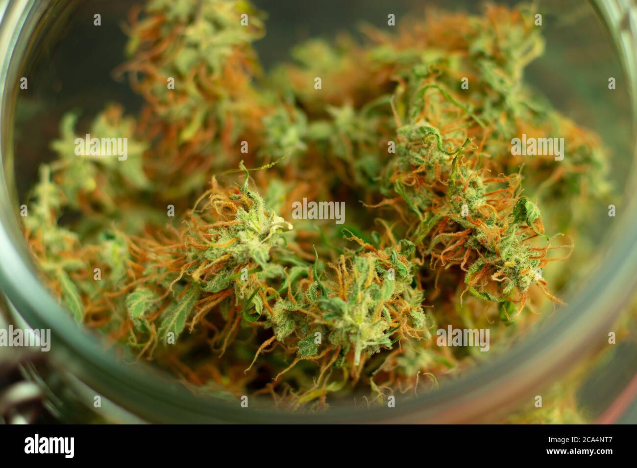 Marihuana Knospen Makro Foto. Cannabis ist eine psychoaktive Droge, die für medizinische oder Erholungszwecke verwendet wird. Unkraut Nahaufnahme mit Bokeh Stockfoto