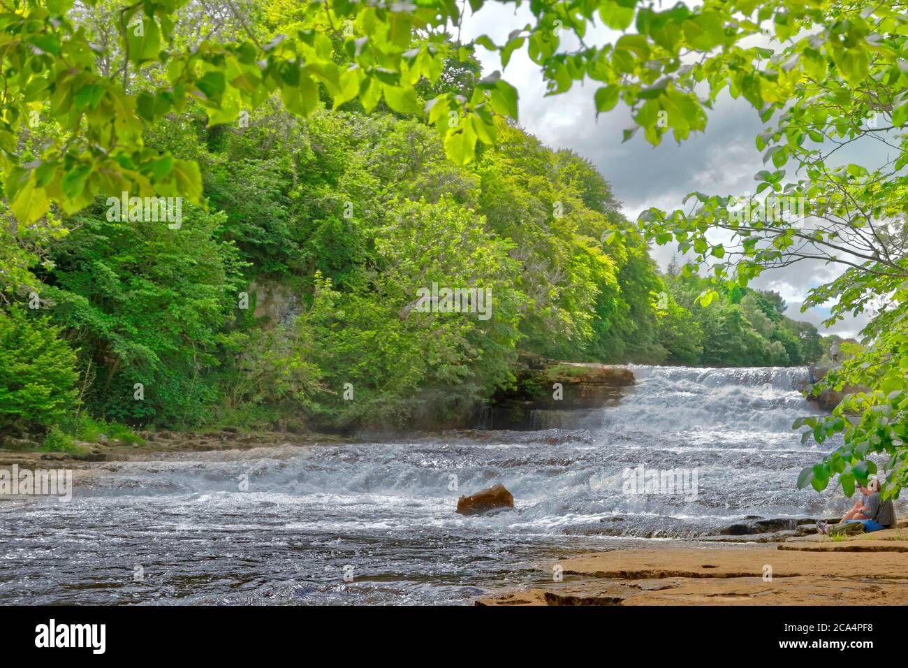 River Ure die unteren Wasserfälle der Aysgarth Falls im Yorkshire Dales National Park, North Yorkshire, England. Stockfoto