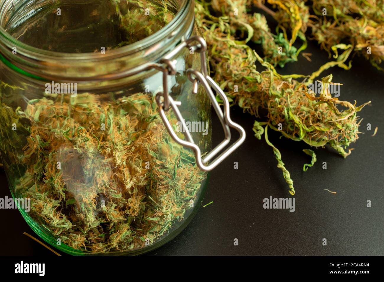 Großes Glas mit trockenen und trimmen Cannabis Knospen und Marihuana-Pflanzen auf dem Hintergrund. Legale medizinische Unkrautindustrie Stockfoto