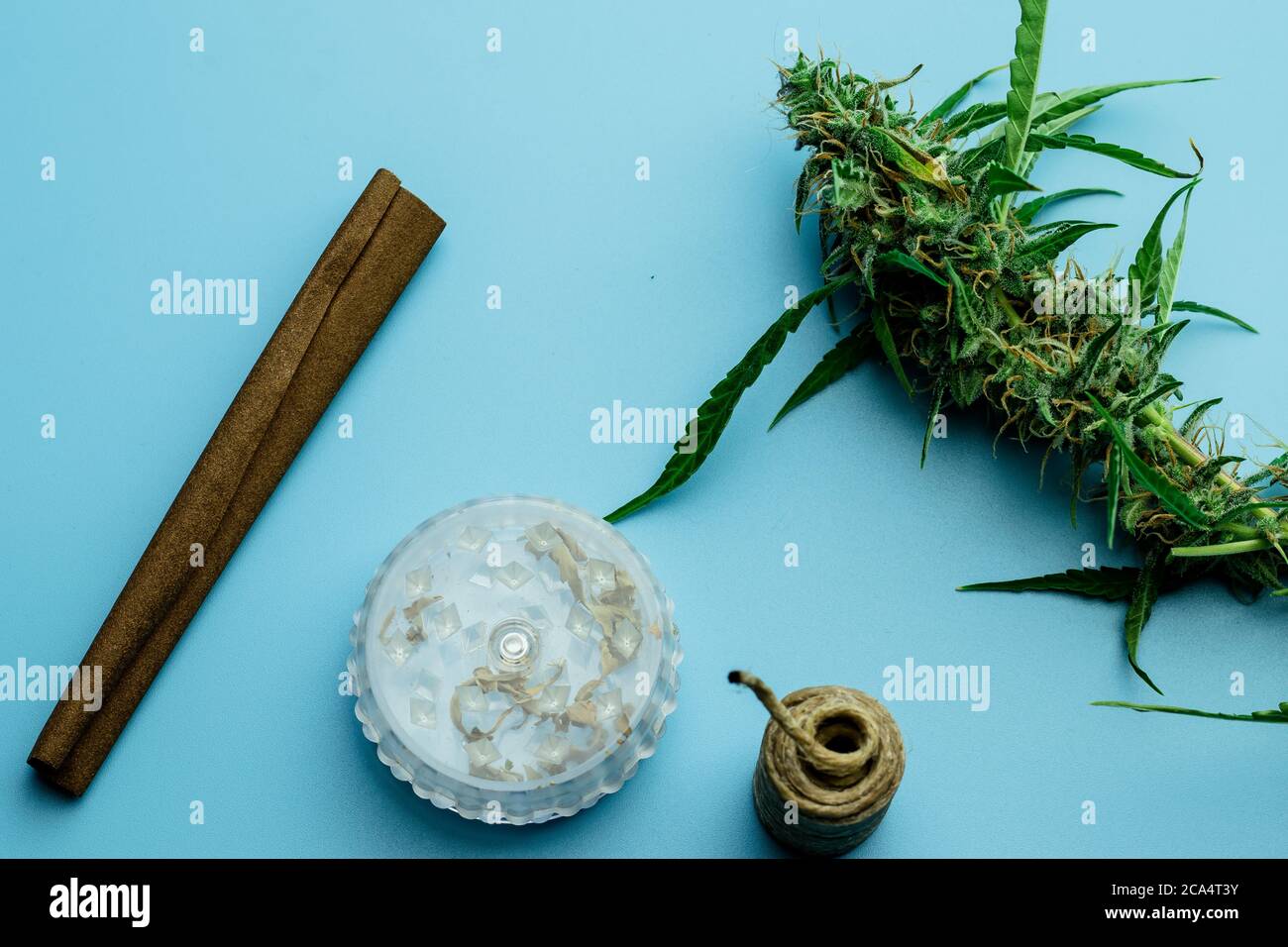 Cannabis-Branche. Rauchen Marihuana Zubehör Draufsicht auf blauem Hintergrund mit großen Unkrautpflanzen Knospen. THC Drogenkonsum Stockfoto