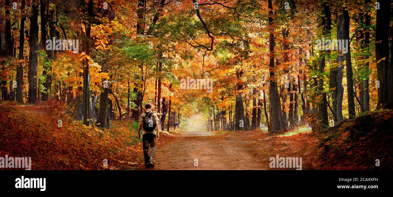 Kind mit Rucksack zu Fuß in Herbstfarben Stockfoto