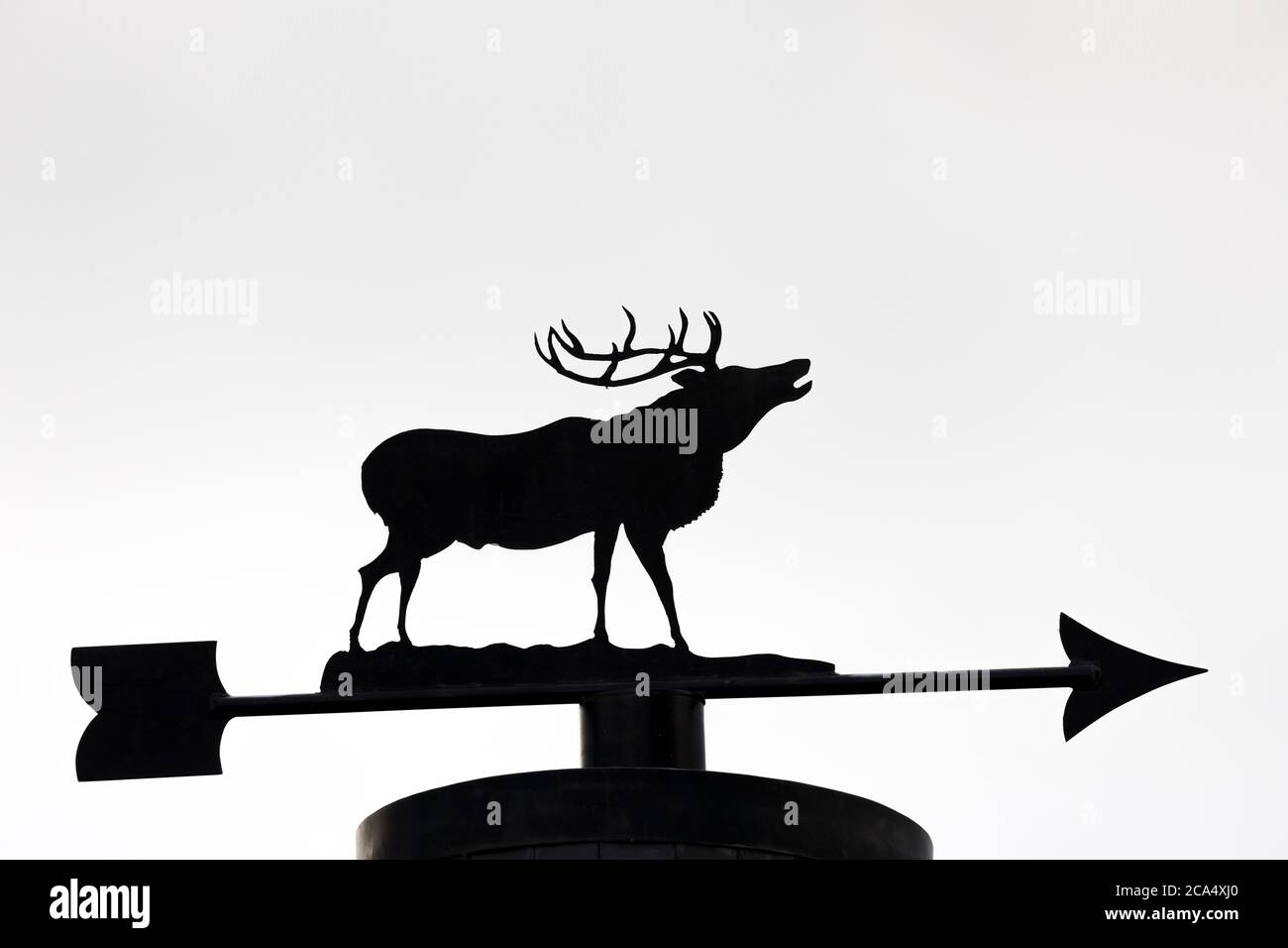 Red Deer Stag Wetterfahne; Großbritannien Stockfoto