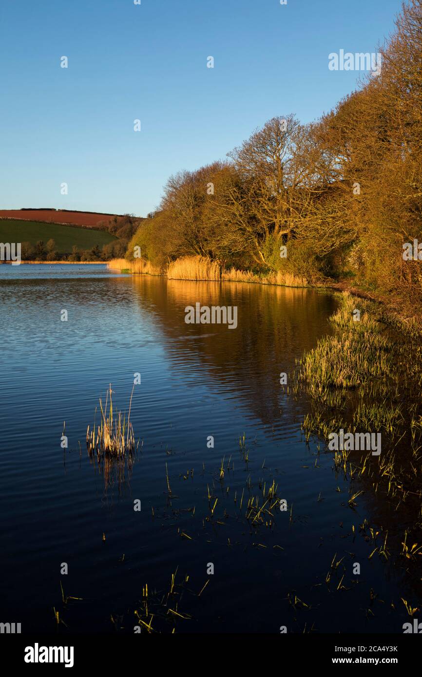 Slapton Ley; Devon; Großbritannien Stockfoto
