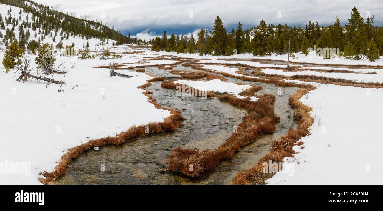Schneebedeckte Landschaft von Rabbit Creek, Yellowstone National Park, Wyoming, USA Stockfoto