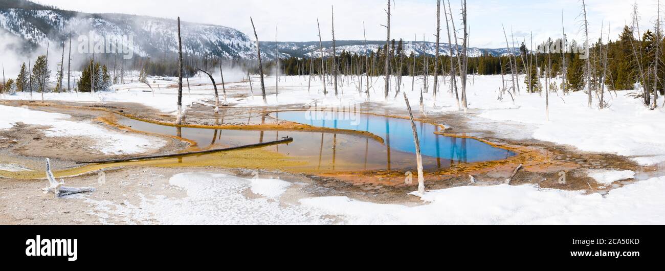 Landschaft mit opaleszierendem Pool im Black Sand Basin, Yellowstone National Park, Wyoming, USA Stockfoto