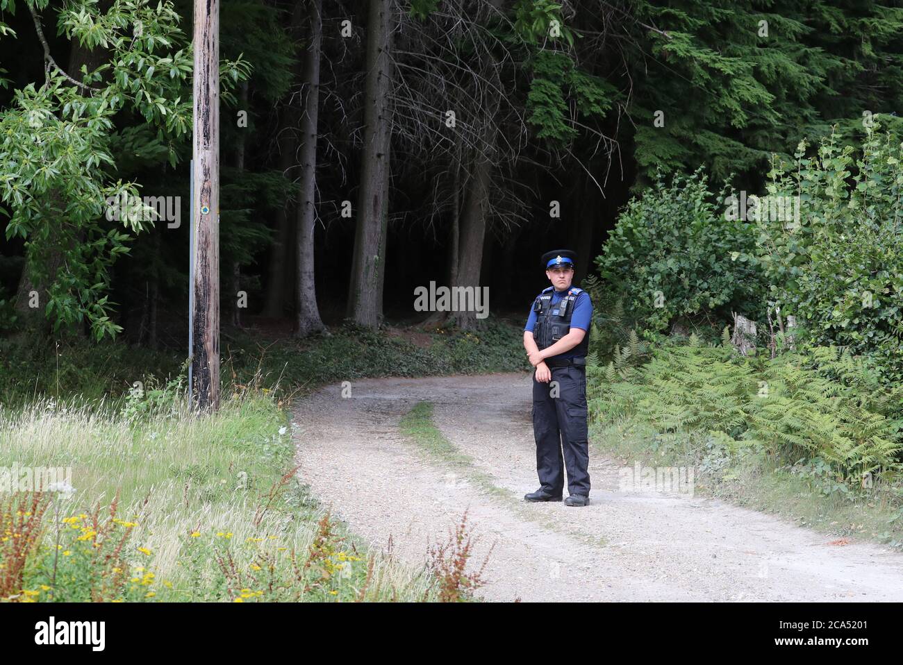 Ein Polizeibeamter auf der Straße nahe der Szene eines leichten Flugzeugabsturzes in Heathfield, East Sussex, der das Leben des Piloten beanspruchte. Stockfoto