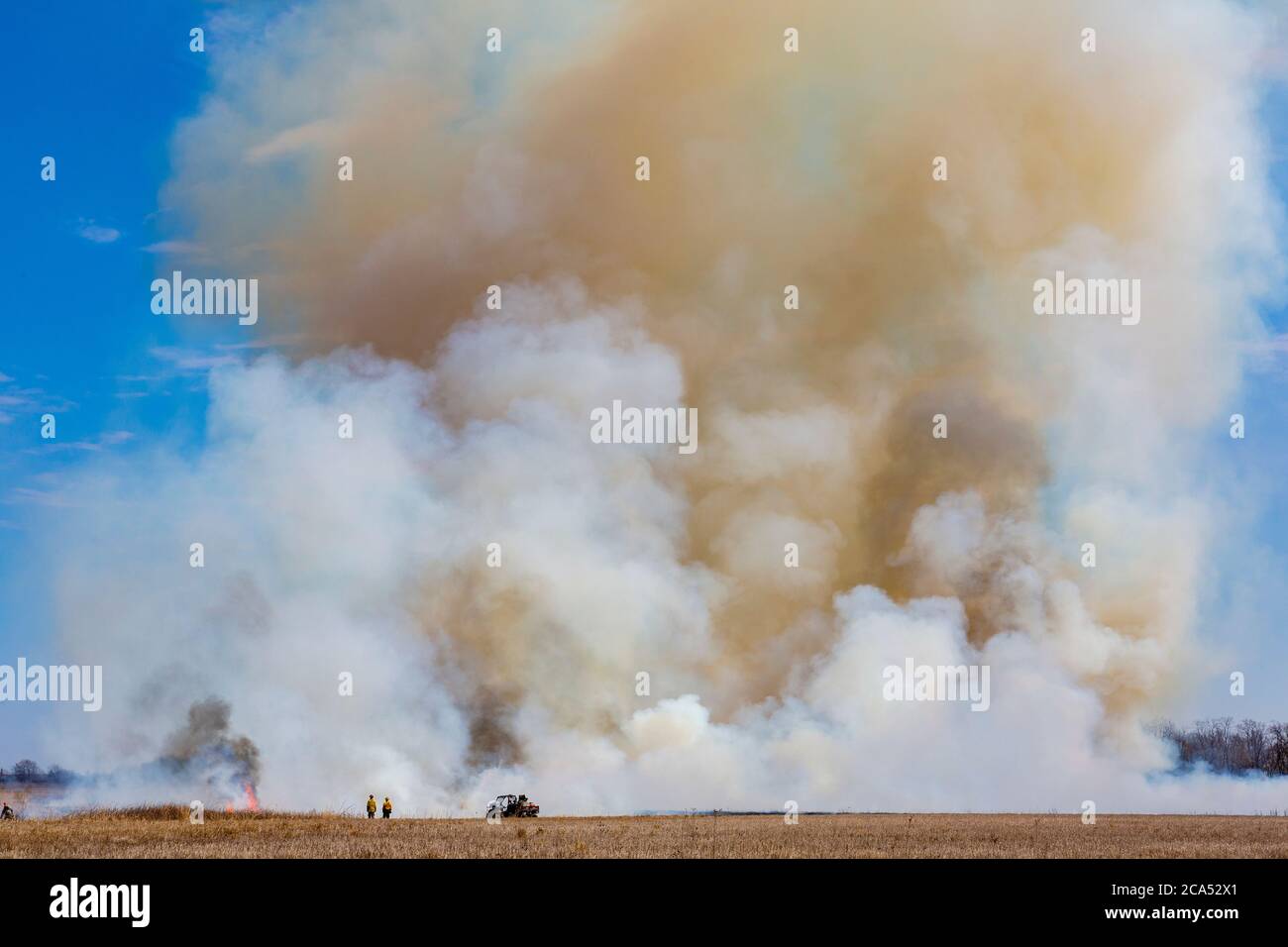 Blick auf Burning Field, Prairie Ridge State Natural Area, Marion Co., Illinois, USA Stockfoto