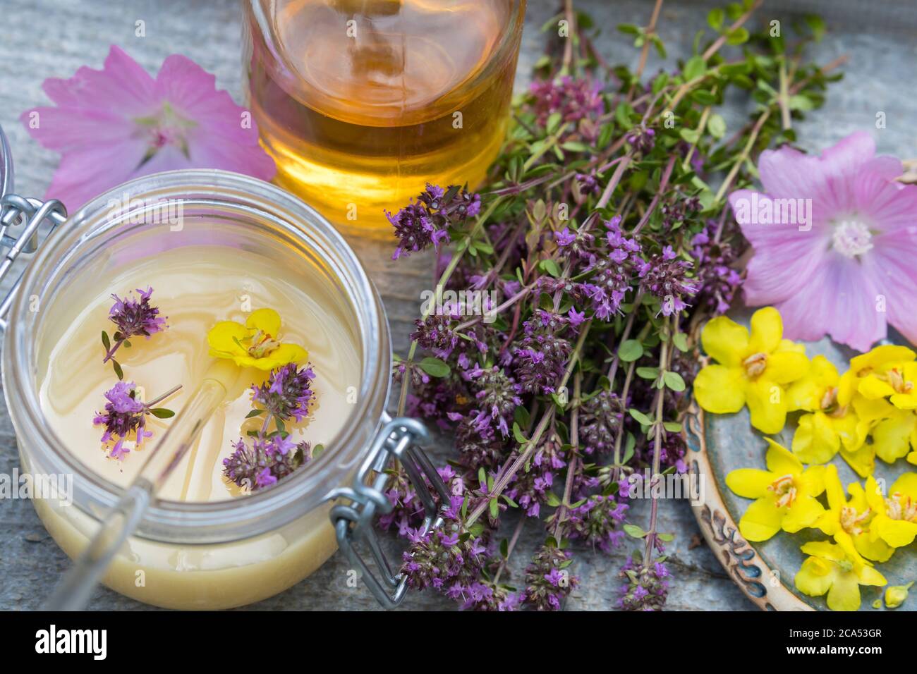 Husten-Oxymel, Hustenoxymel, Oxymel, Honig, Essig, Blüten, Blütenhonig, Blüten-Honig, Wildblumen-Honig, Wildblüten-Honig, Hustenhonig, Husten-Honig. T Stockfoto