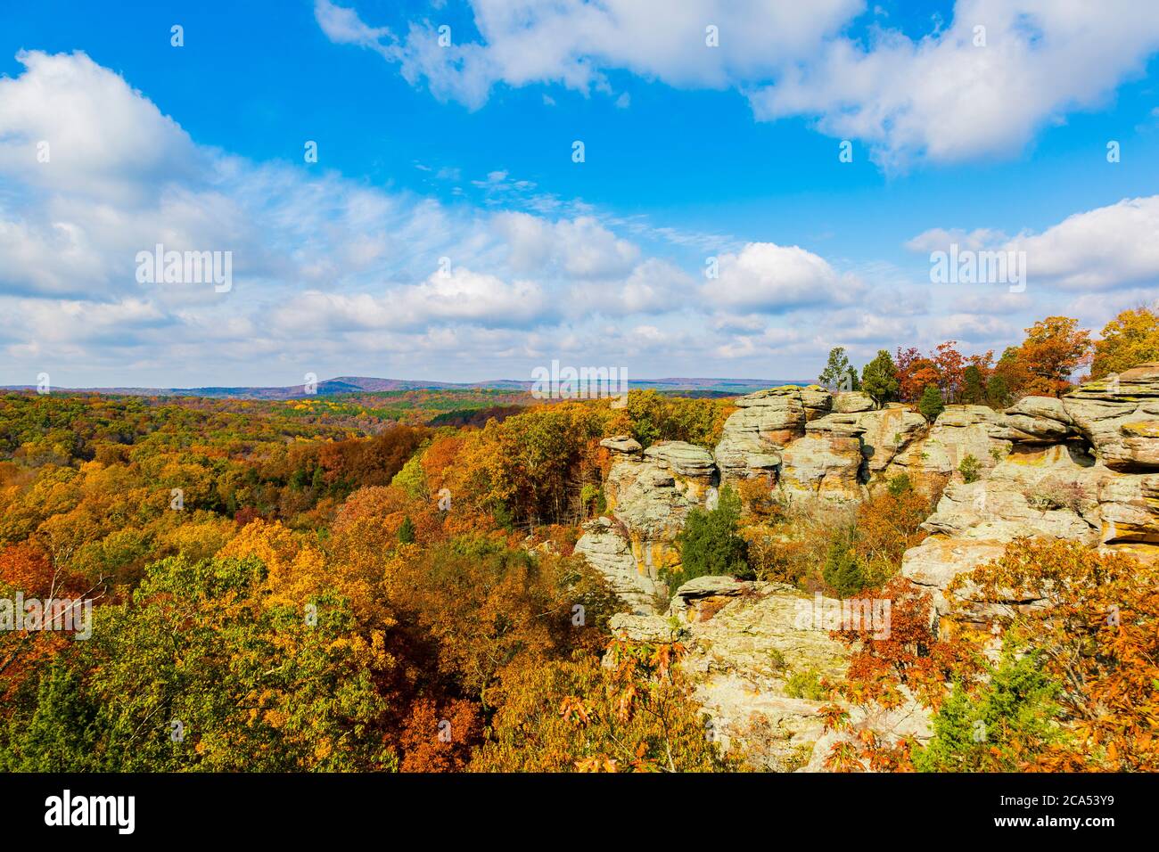 Blick auf Camel Rock und Wald, Garden of the Gods Recreation Area, Shawnee National Forest, Illinois, USA Stockfoto