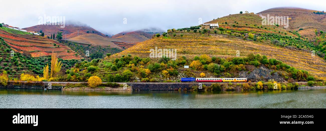 Blick auf Weinberge und Zug in der Nähe des Douro Flusses, Portugal Stockfoto