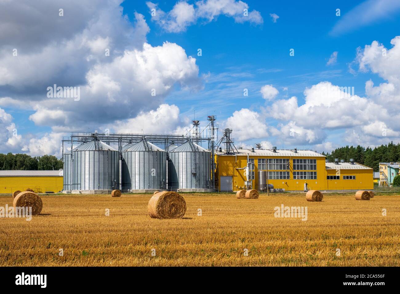 Moderne landwirtschaftliche Silos. Lagerung und Trocknung von Getreide, Weizen, Mais. Körnerelevator. Agrarbusiness-Konzept Stockfoto