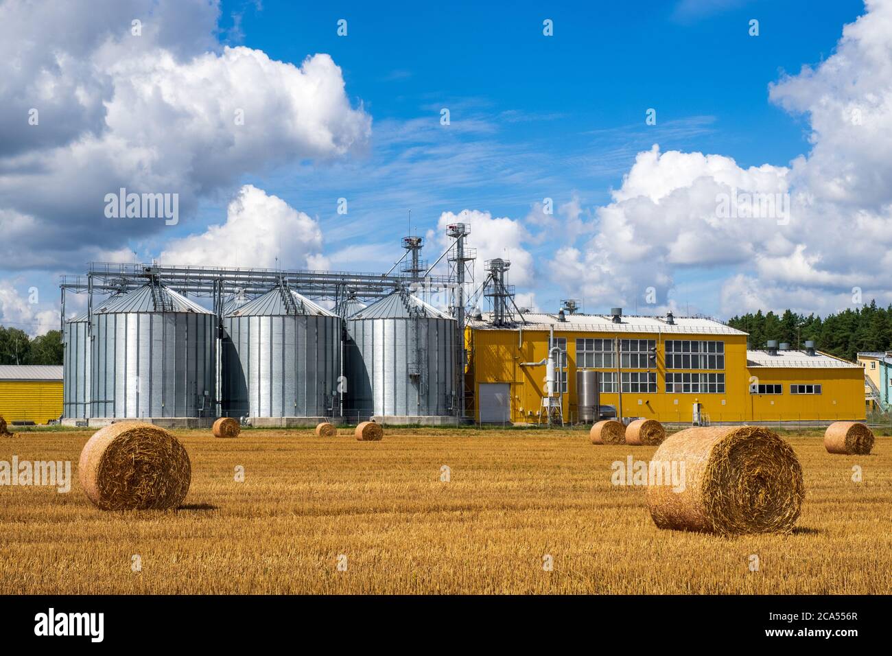 Landwirtschaftliche Silos. Körnerelevator. Lagerung und Trocknung von Getreide, Weizen, Mais. Agrarbusiness-Konzept Stockfoto