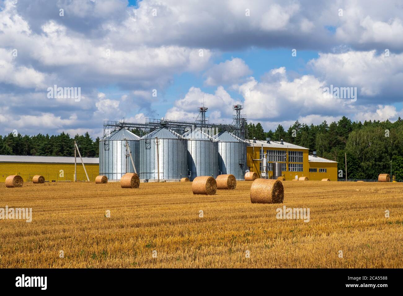 Landwirtschaftliche Silos. Gebäude für die Lagerung und Trocknung von Getreide, Weizen, Mais. Körnerelevator. Agrarbusiness-Konzept Stockfoto