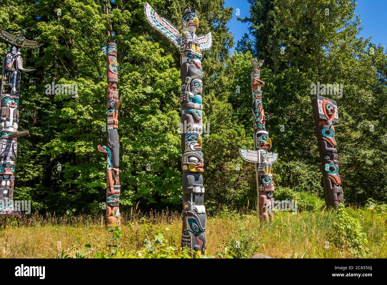 Vancouver, Kanada - 27. Juli 2017: Totem Poles im Stanley Park in Vancouver, mit Wald im Hintergrund, British Columbia, Kanada Stockfoto