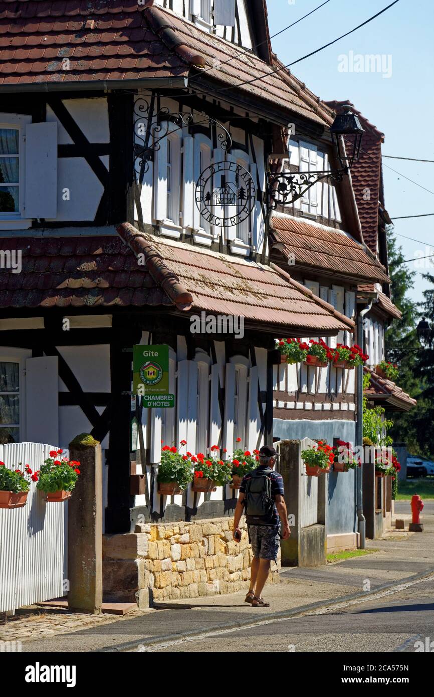 Frankreich, Bas Rhin, Hunspach, beschriftet Les Plus Beaux Villages de France (die schönsten Dörfer Frankreichs), traditionelle Fachwerkhäuser von Th Stockfoto