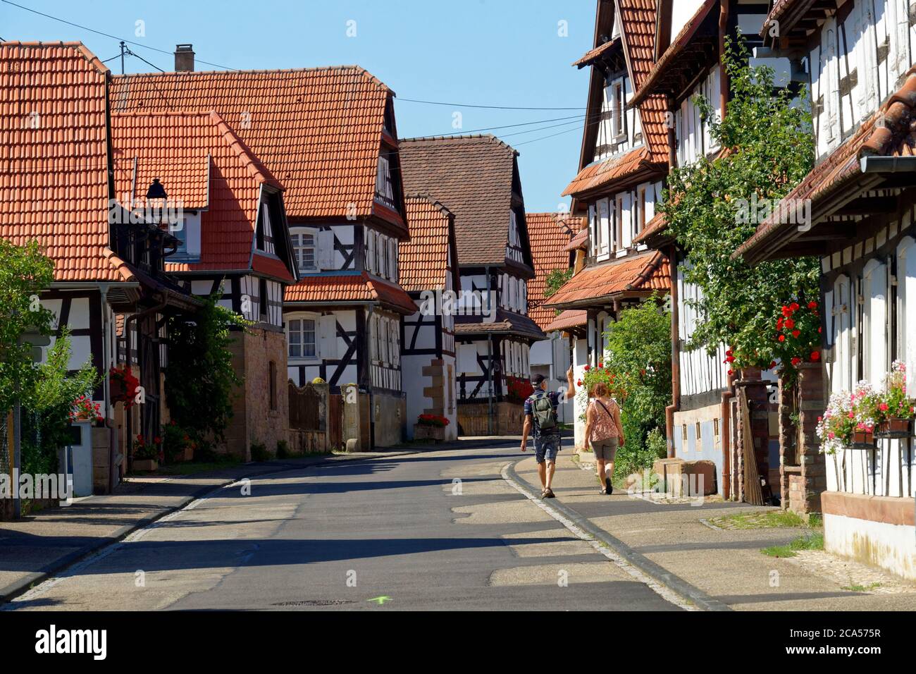 Frankreich, Bas Rhin, Hunspach, beschriftet Les Plus Beaux Villages de France (die schönsten Dörfer Frankreichs), traditionelle Fachwerkhäuser von Th Stockfoto