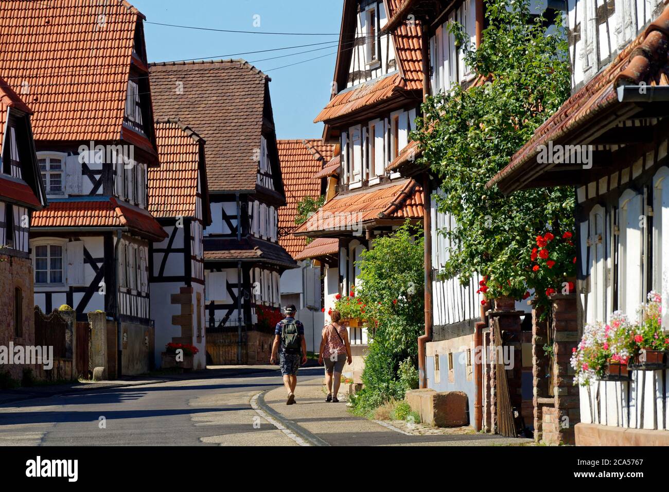 Frankreich, Bas Rhin, Hunspach, beschriftet Les Plus Beaux Villages de France (die schönsten Dörfer Frankreichs), traditionelle Fachwerkhäuser von Th Stockfoto