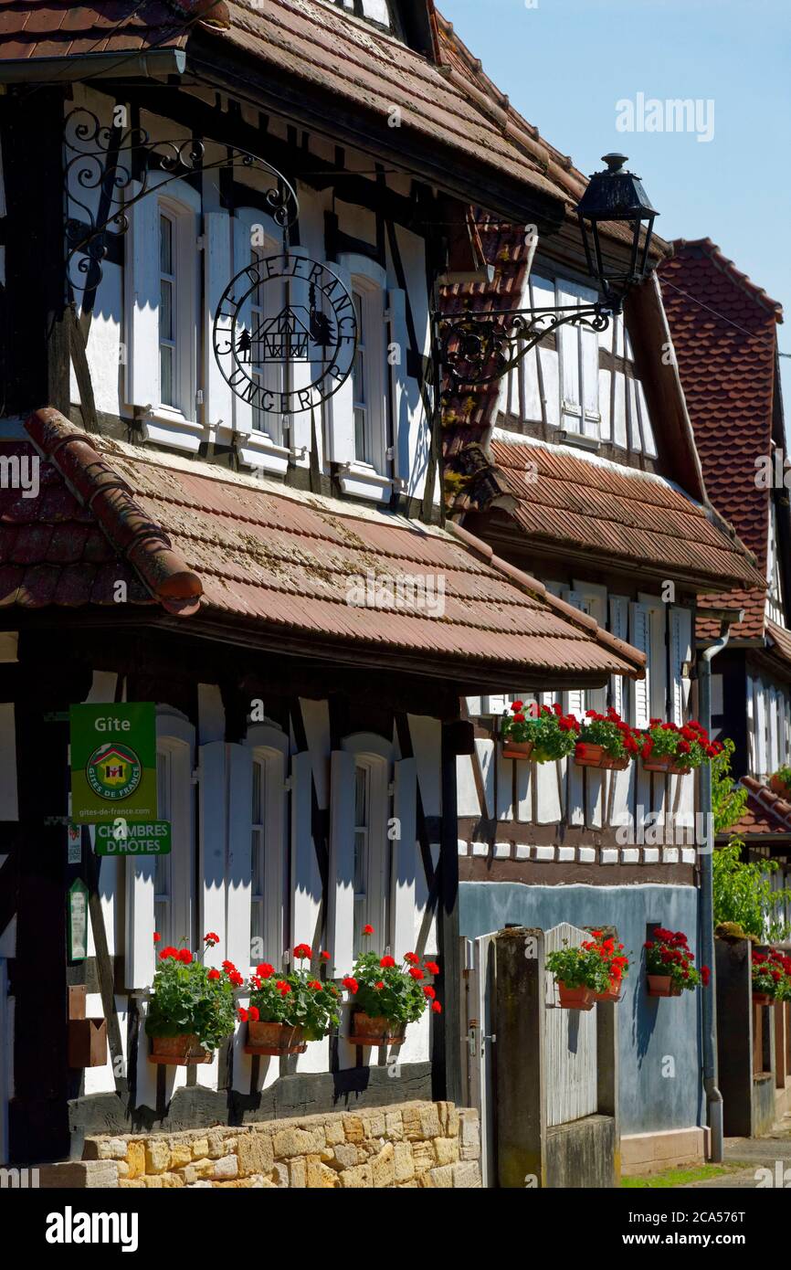 Frankreich, Bas Rhin, Hunspach, beschriftet Les Plus Beaux Villages de France (die schönsten Dörfer Frankreichs), traditionelle Fachwerkhäuser von Th Stockfoto