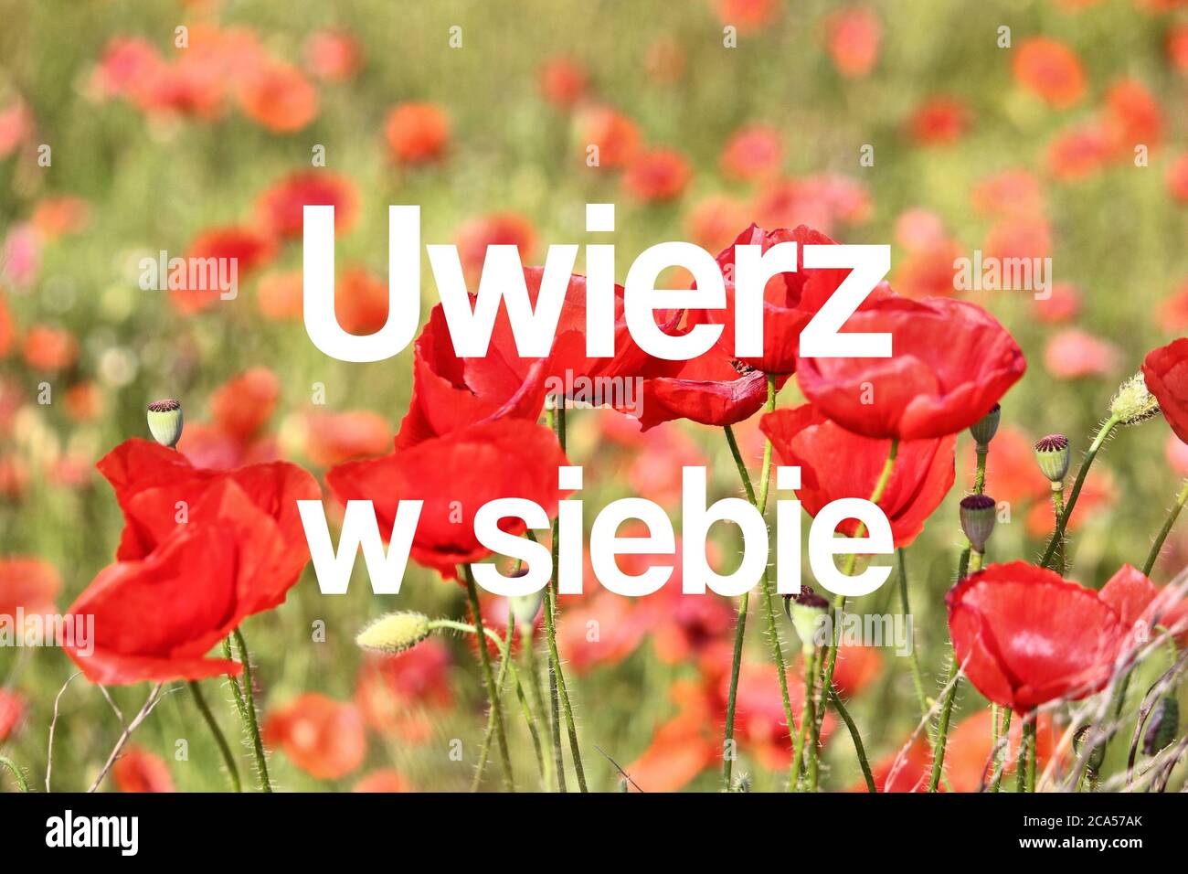 Uwierz w siebie (Glaube an dich selbst in polnischer Sprache). Motivationsposter in polnischer Sprache. Stockfoto